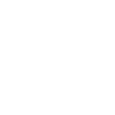 NO₂